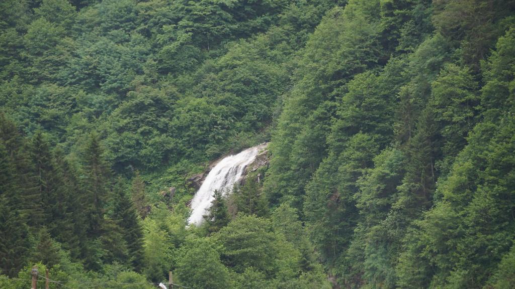 Ayder Resort Hotel Rize Bagian luar foto