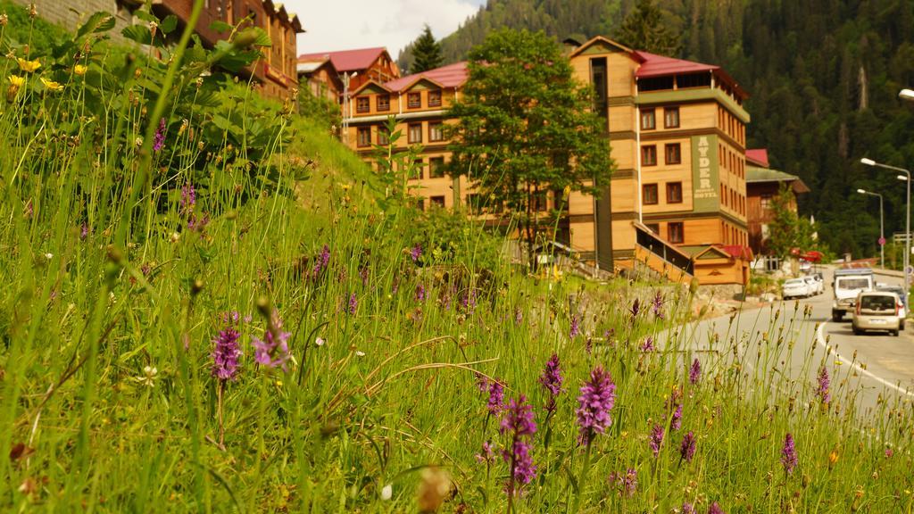 Ayder Resort Hotel Rize Bagian luar foto