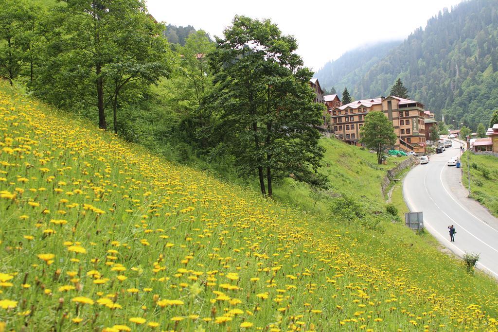 Ayder Resort Hotel Rize Bagian luar foto